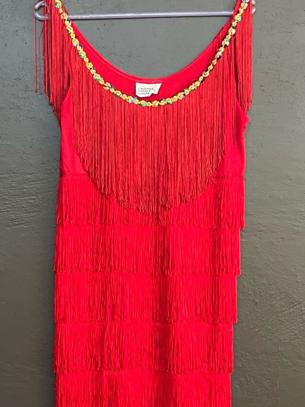 Flapper 1920’s costume red fringe dress with sequined trim.